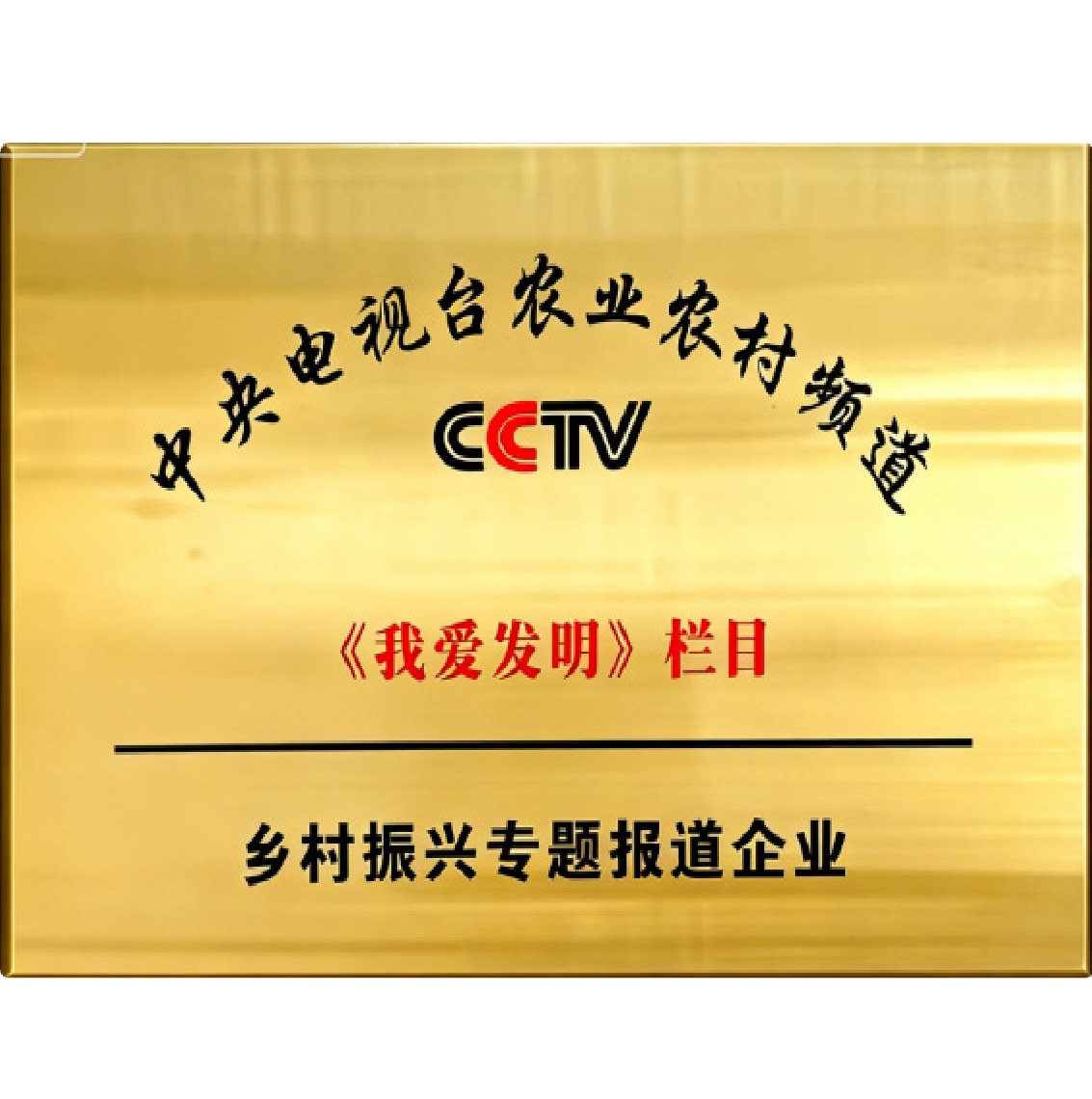 中央电视台《我爱发明》栏目报道